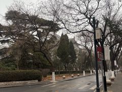 -山东大学(趵突泉校区)