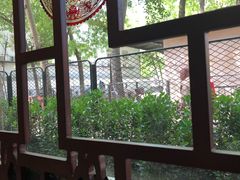 靠窗位-东兴寒舍老北京炸酱面(三里河路店)