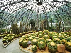 -深圳仙湖植物园