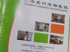 -爱侣宠医·鹦鹉专科·小型哺乳类·异宠专科(灵石路店)