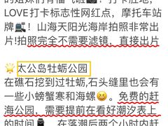 -巧克力渔家.小船海鲜家常菜(万平口店)