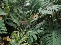 -郑州植物园