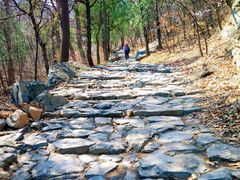 -阳台山自然风景区