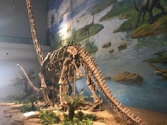 -自贡恐龙博物馆