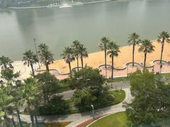 -金沙湖公园