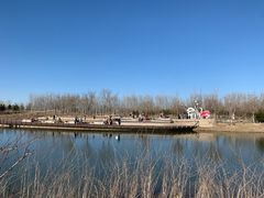 -东郊湿地公园