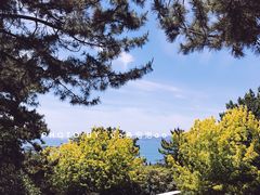 -燕窝岭