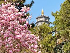 -湛山寺