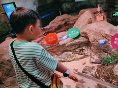 -沈阳海洋探索中心