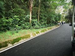 -白云山风景名胜区