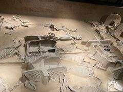 -洛阳周王城天子驾六博物馆