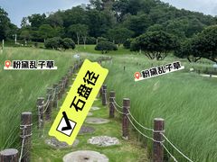 -红花山公园