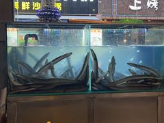 -本炙炭烤·蒲烧活鳗料理店(金沙洲店)