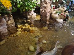 -多哥水傣味餐厅(司马巷店)
