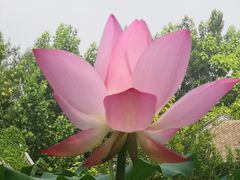 -恭王府博物馆