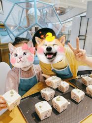 -Harry's Kitchen哈里小屋(上海大悦城店)