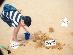 -日照海滨国家森林公园