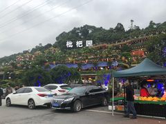 -枇杷园食为鲜火锅(南山店)