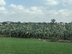 -海安新港(公交站)