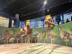 -国家自然博物馆