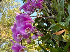 -人民公园(罗湖区)