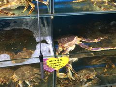 -蚝专家(北滘店)