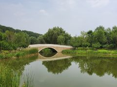 -东郊湿地公园