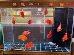 -龙记·香港茶餐厅(海上世界店)