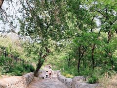 -阳台山自然风景区