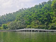 -深圳仙湖植物园-停车场
