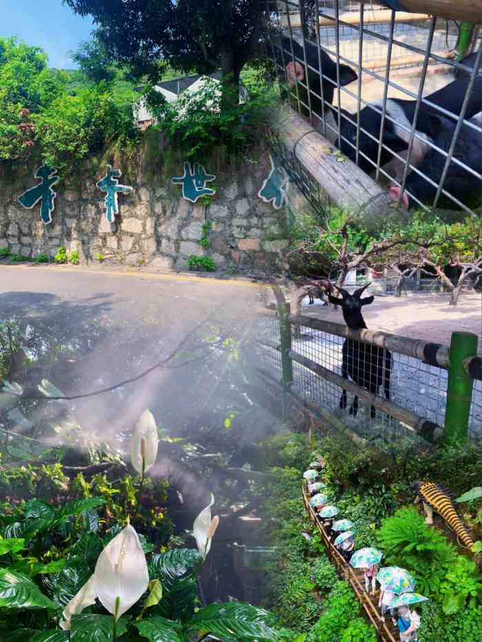 青青世界-"出来走动走动哩~~ 没啥特别的,绿化很好."-大众点评移动版