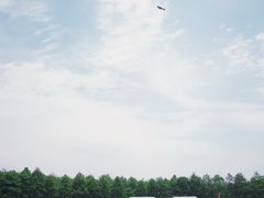 -漩门湾国家湿地公园