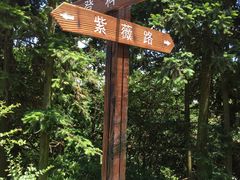 -天花井景区