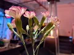 -Cooking Man(中懋天地店)