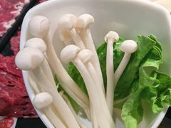 -掂档潮汕牛肉火锅(沈阳万象城店)