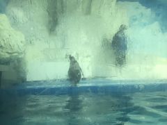 -泉城欧乐堡海洋极地世界