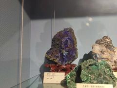 -河南自然博物馆
