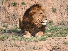 -石家庄市动物园