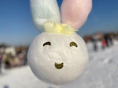 -绿野森林乐园冰雪季