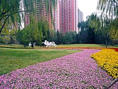 -迎泽公园