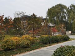 -莲花池公园