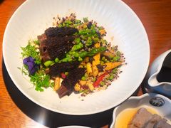 生机勃勃-庆春朴门