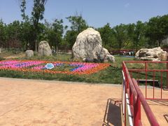 -武清南湖绿博园