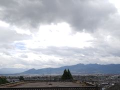 -蘑统田下·野生菌火锅