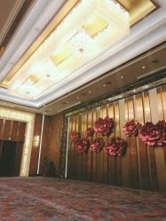 -宁波华侨温德姆至尊豪廷大酒店·宴会厅