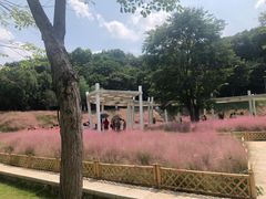 -牛岗山公园