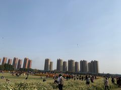 -映月湖中央公园
