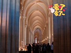 -巴黎圣母院