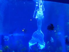 -石林冰雪海洋世界