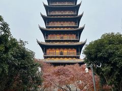 -常熟方塔园
